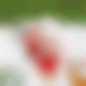 Deda Mraz koji se penje po kanapu SANTACLIMB