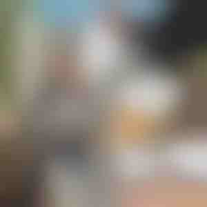 Specijalni alat za brušenje lanca motorne testere GRINNEX