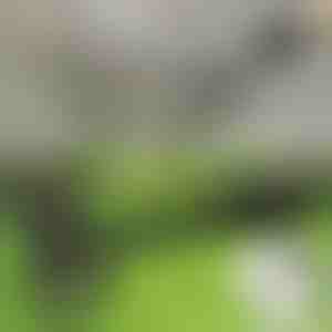 Alat za uklanjanje korova | RUNCO