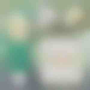 Instantno rešenje za popravku zidova | WALLFIX