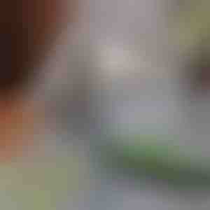 Metla za uklanjanje dlaka kućnih ljubimaca | PAWMOP