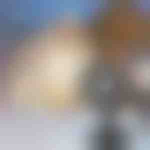 LED projektor za pahulje | SNOWLAMP