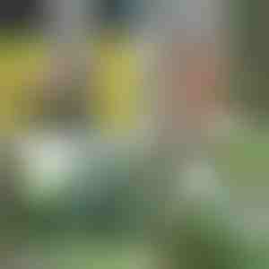 Prenosni tuš | HYDROPORT