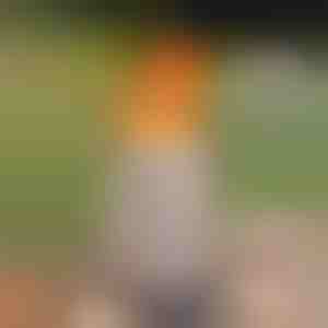 Stoni kamin bez dima - pravi plamen, bez dima, za unutrašnju i spoljašnju upotrebu | FIRENOVA