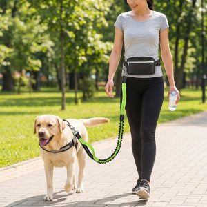 Povodac za trčanje sa psom koji se nosi oko struka | DOGZIP
